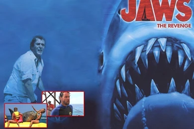 Jaws The Revenge Wallpapers   Michael Caine Wallpapers (2640979 ...