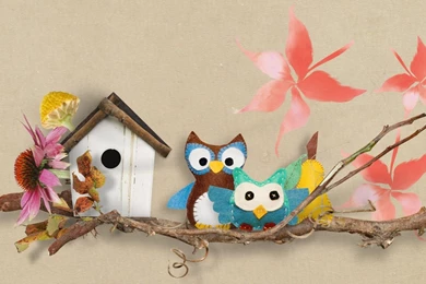 HDscreen: Owls For Autumn Birds Twigs Fall Leaves Whimsical Cute ...