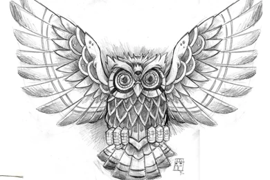 Owl Computer Wallpapers, Desktop Backgrounds