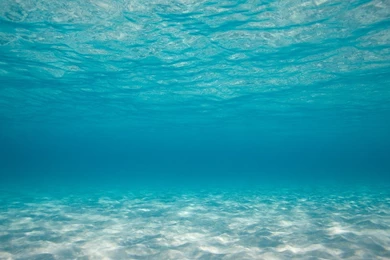 Underwater Ocean Water Backgrounds