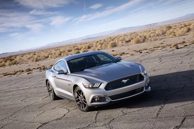 Silver 2015 Ford Mustang GT 4K Ultra HD Wallpapers – WallpaperEVO ...