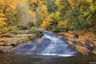 Free Wallpapers   Free Nature Wallpapers   HD Landscape 5 Wallpapers ...