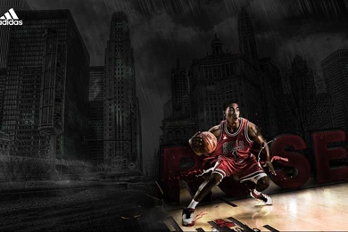 Chicago Bulls