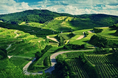 Downloads Nature Backgrounds For Mac.jpeg