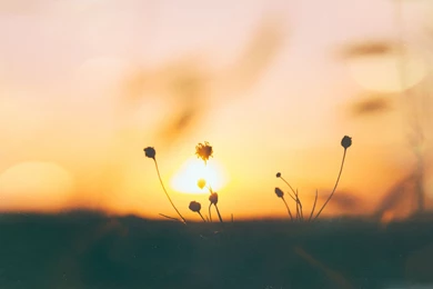 Free Nature Mac Wallpapers, iMac Wallpapers, Retina MacBook Pro ...