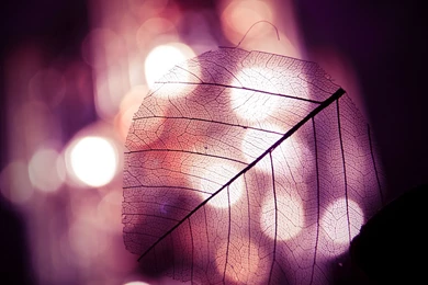 Best 20+ Cool Windows 8 Wallpapers HD 1920x1200 Backgrounds