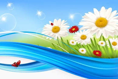 Daisy Bubbles >> HD Wallpaper, Get It Now!