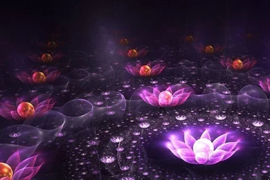 Fantasy Flowers iPhone 5s Wallpapers Download