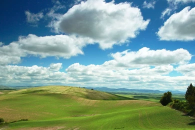 Free Hd Wallpapers 1920X1080   HD Wallpapers Pretty