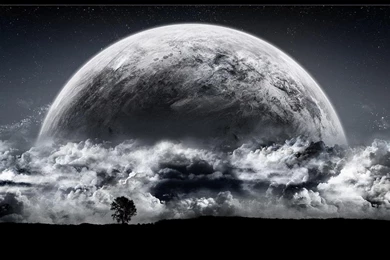 Free Hd Wallpapers   (