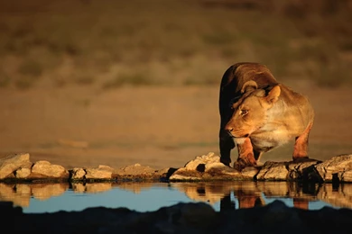 2015 09 30   Page 193