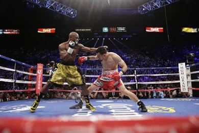 Floyd Mayweather HD Wallpapers