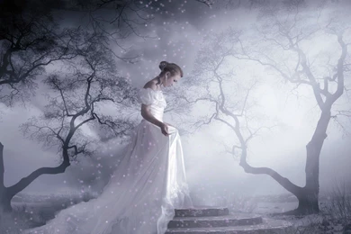 White Beauty Desktop Wallpapers   , New Wallpapers, New Wallpapers