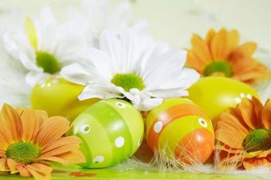 Easter Wallpapers HD & Easter Backgrounds Best Collection