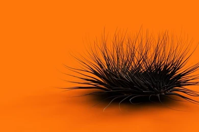 Abstract Art Photography Wallpapers