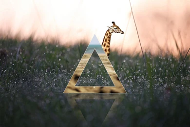 Hipster Abstract Minimalist Art Wallpapers