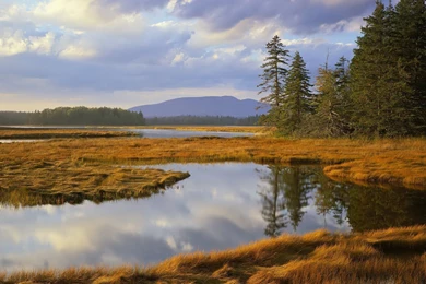 Desktop Wallpapers · Gallery · Nature · Floodplain Free Desktop ...