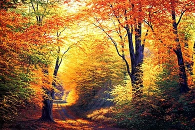 Latest Desktop Wallpapers, Beautiful Desktop Wallpapers, 3D ...