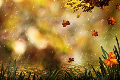 Fall Computer Wallpapers, Desktop Backgrounds