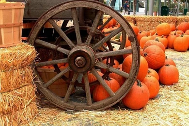 Fall Secne : Pumpkins And Hay Photos 4   Wallcoo.net