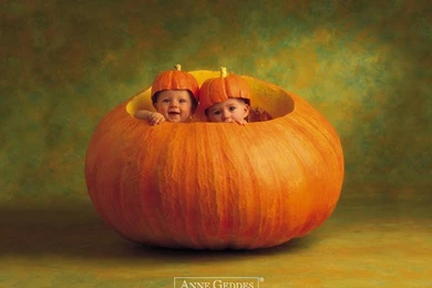 Anne Geddes Pumpkin Wallpapers   Free Anne Geddes Pumpkin ...