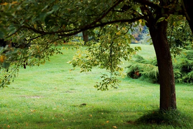 These Are Our Nature Backgrounds Including Some Beaches And Some ...