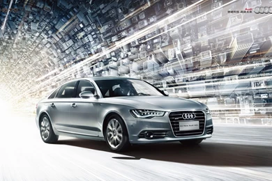 Auto Wallpapers 31010   Flowers Photo   Flowers