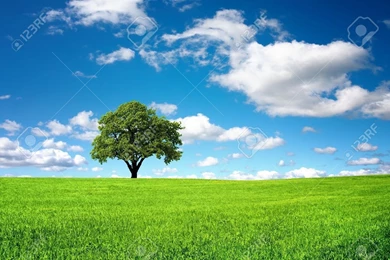 Nature Backgrounds 3851 Backgrounds HD Full Size Attachment ...