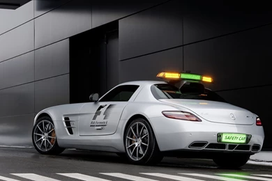 Auto Wallpapers Collection 17876   Flowers Photo   Flowers