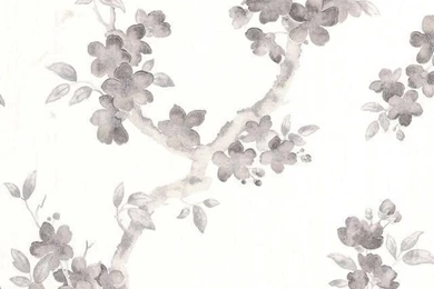 Mercutio Black/White Wallpapers   Contemporary   Wallpapers   By ...