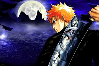 Download Bleach Anime Bleach Wallpapers