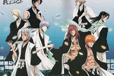 Shinigamis (Bleach)   Bleach Anime Wallpapers (36528161)   Fanpop