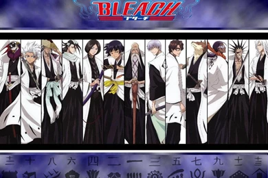 BLEACH WALLPAPERS   Bleach Anime Wallpapers (34292878)   Fanpop