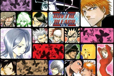 Bleach   Bleach Anime Wallpapers (2220733)   Fanpop