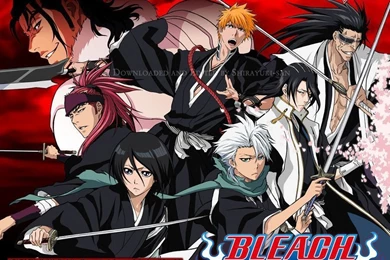 Bleach   Bleach Anime Wallpapers (33558000)   Fanpop