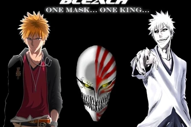 Bleach   Bleach Anime Wallpapers (9415047)   Fanpop