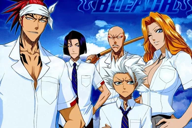 BLEACH   Bleach Anime Wallpapers (33143831)   Fanpop