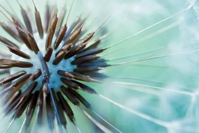 40 Best And Latest Samsung Galaxy S5 HD Wallpapers