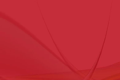 Red Abstract Backgrounds Vector