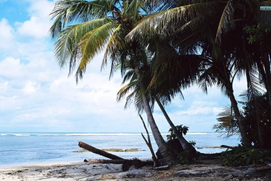 Costa Rica Beach Wallpapers