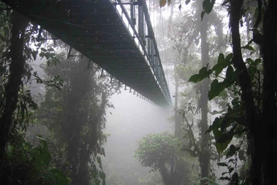 Monteverde Costa Rica Wallpapers   190151