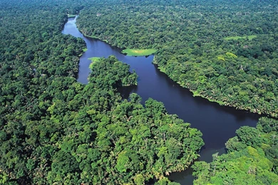 Costa Rica National Park Forests Go Green Wallpapers Wallpapers And ...