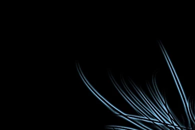 Desktop Backgrounds Black By TheSunsetrider On DeviantArt