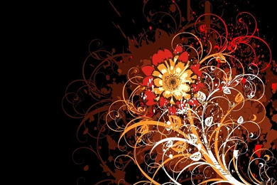 Flower Desktop Backgrounds Wallpapers