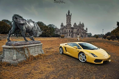 Lamborghini Bull Wallpapers   Image