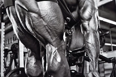 Charlesglass kaigreene wallpapers By Exploiter69 On DeviantArt