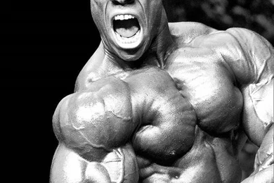 Phil Heath Bodybuilding Photos All Unseen Pictures And ...