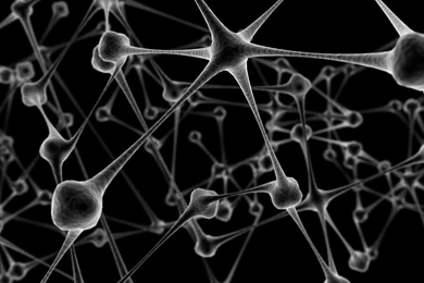 Animal Wallpapers,Funny Animal Wallpaper: Abstract HD Wallpapers