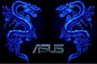 ASUS DOUBLE DRAGON Photo By Danjustus