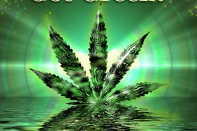 Weed Desktop HD Wallpaper, Weed Backgrounds, New Wallpapers